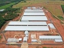 正大集团：数字化赋能打造生猪全产业链| 广东农企品牌价值50强评选巡礼