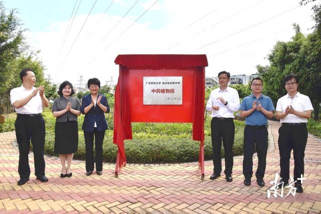 林百欣中学龙祥学校中药种植园揭牌。