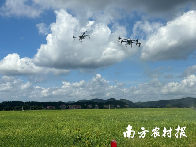 三大指数均跌超1% 自动化设备板块领跌