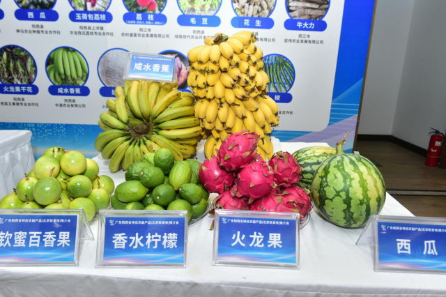 央行定向降准0.5个百分点 支持“债转股”和小微企业融资