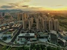 南方观察｜深中通道开通，坪山、中山两地产业间的“量子纠缠”被发现