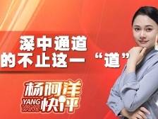 深中通道：通的不止这一“道”| 杨阿洋快评
