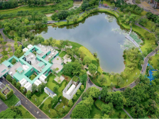 龙行“百千万”｜“坪新”而论： 今年种下千棵树，如何绿美一座城？