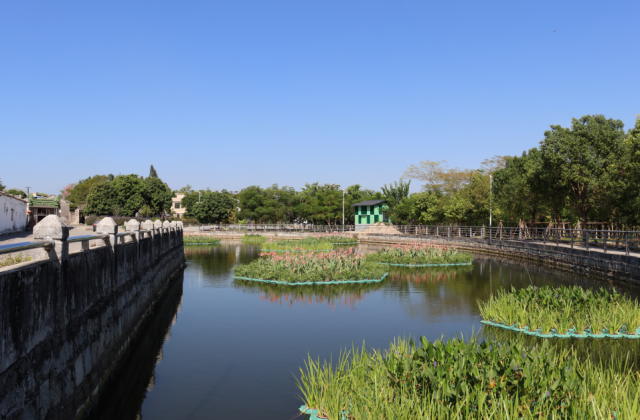 登峰村实施“风水塘”生态修复治理改造后。