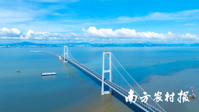 深中大桥。通道通车<strong></strong> 深中大桥。深中试运山沙