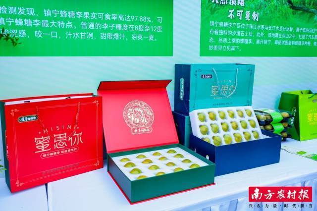 英雄联盟手游蔚对战李青实战教学 技能克制与野区对抗技巧深度解析