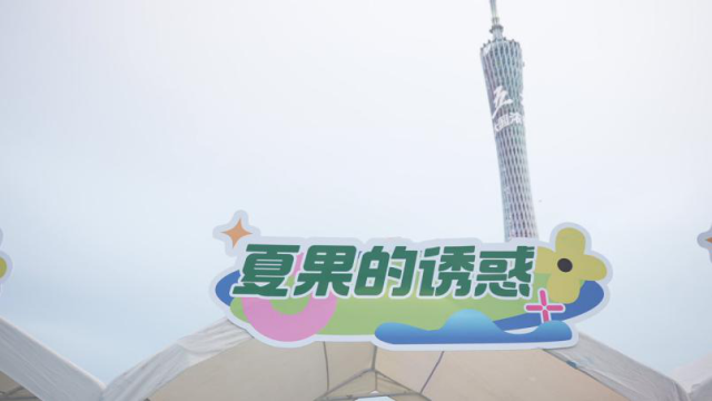 阳春夏威夷果走进大湾区,夏威心沙掀起<strong></strong>亮相2024广东乡村歌手大赛启动仪式“水果有米集市”。 阳春夏威夷果走进大湾区,坚果热潮亮相2024广东乡村歌手大赛启动仪式“水果有米集市”。阳春夷果