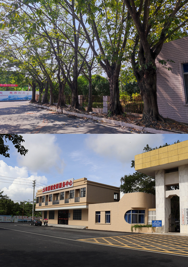 建成后的南溪镇党群服务中心前后对比图。