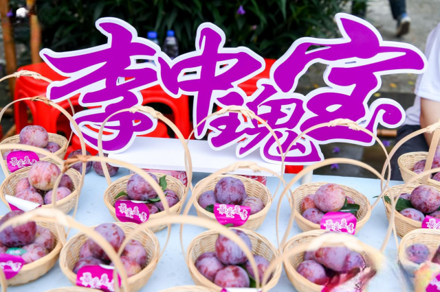 △“享李季”系列活动之“银妃”三华李果品展