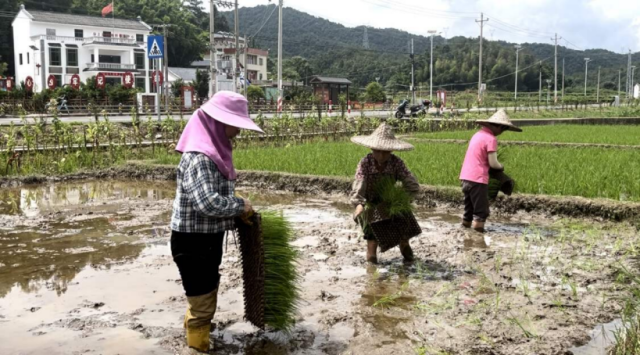 极端天气频发的气候背景下，梅州此次受灾，为农业产业提升减灾抗灾能力敲响了警钟。