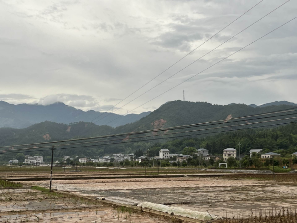 平远县仁居镇邹坊村约八成农户完成复耕复种。