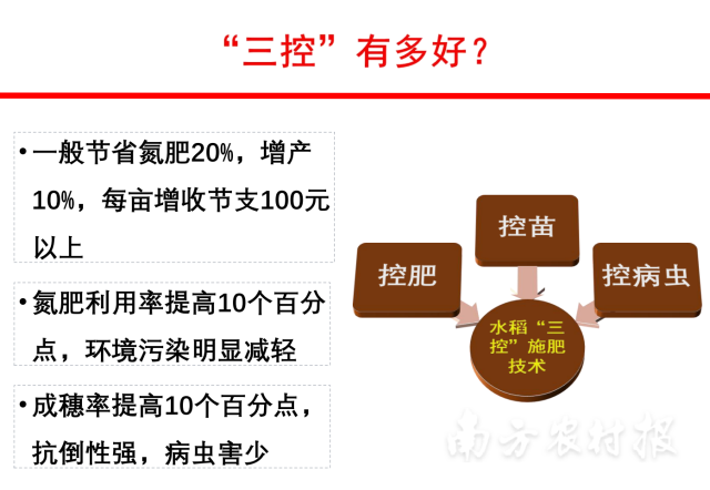 水稻节水减肥低碳高产栽培技术优势