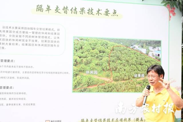 国家荔枝龙眼技术体系岗位科学家、华南农业大学园艺学院教书李建国介绍隔年交替结果技术。