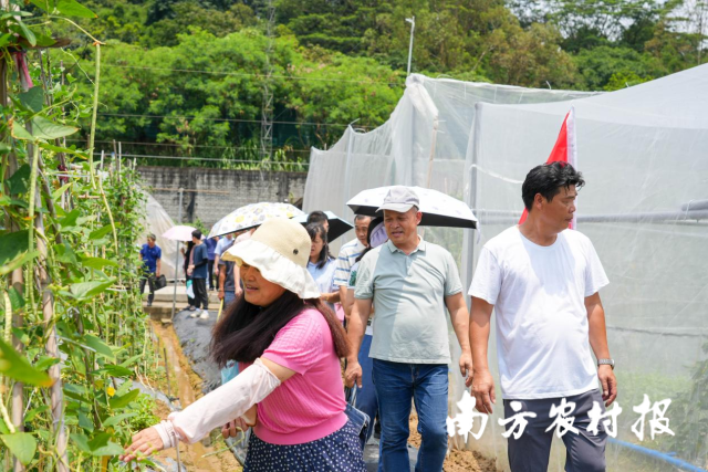 与会人员在田间地头“寻宝”，赏品种、学技术。