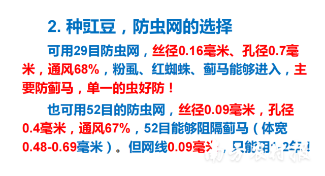 豇豆种植防虫网的选择要点