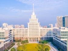 为什么要来深圳读大学？