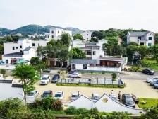 根子镇元坝村：人均年收入近六万元，“生活比荔枝还要甜”｜茂名典型村一线行㉗