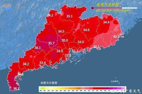 市领导调研整治殡葬领域腐败乱象专项行动工作