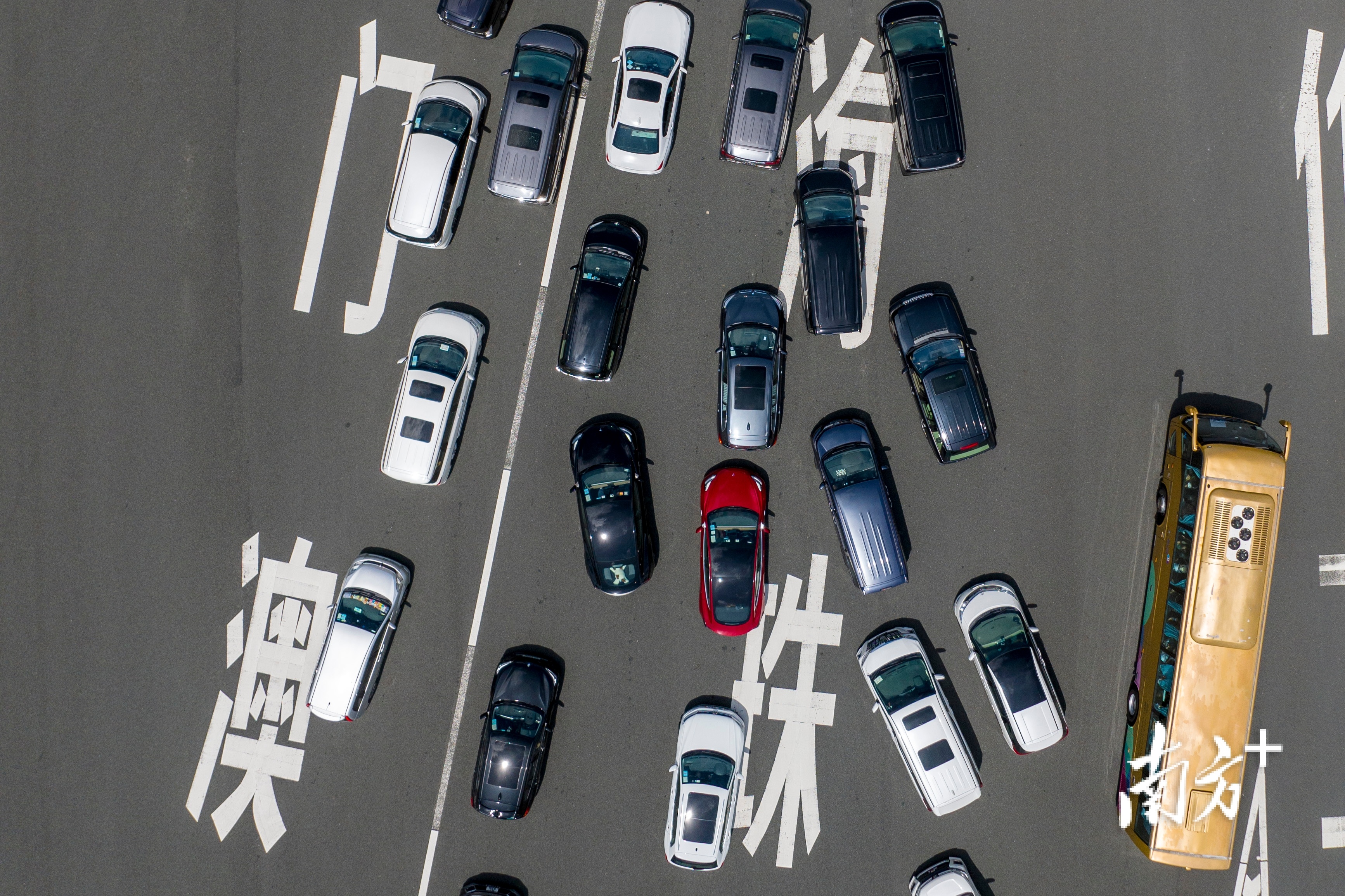 现场车流汇聚。 