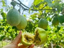 农林类专业是“冷”是“热”？值不值得报？