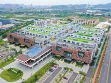 杜宁：把握科技创新，强化区域协同