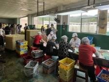 普宁探索“柔性引才”新模式 为“百千万工程”集智赋能