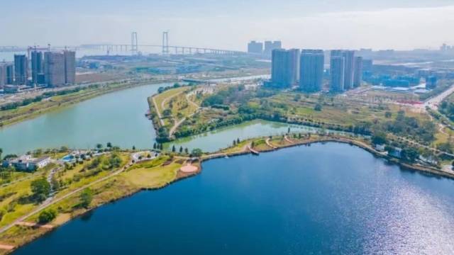 翠亨新区：融湾桥头堡，发展新支点丨大桥飞架 深中共舞