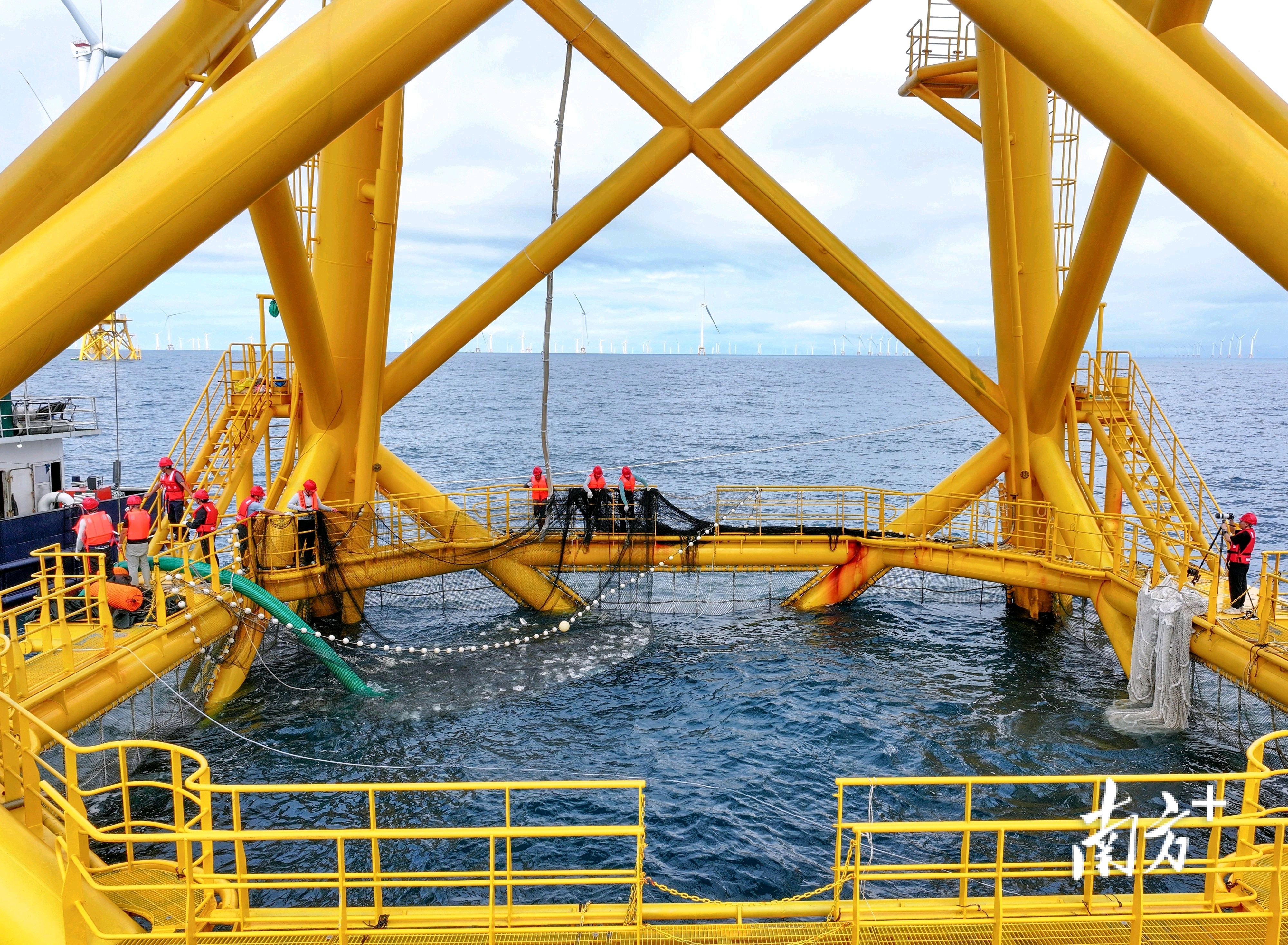 “明渔一号”不仅标志着“海上风电+海洋牧场”融合开发模式的成功，更是阳江积极融湾的生动案例。梁文栋 摄