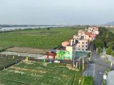 驻鼎湖区帮扶工作组三载耕耘 路宽了 村美了 民富了 | 驻镇这三年㉑