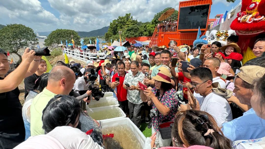 林茵红 摄 林茵红 摄