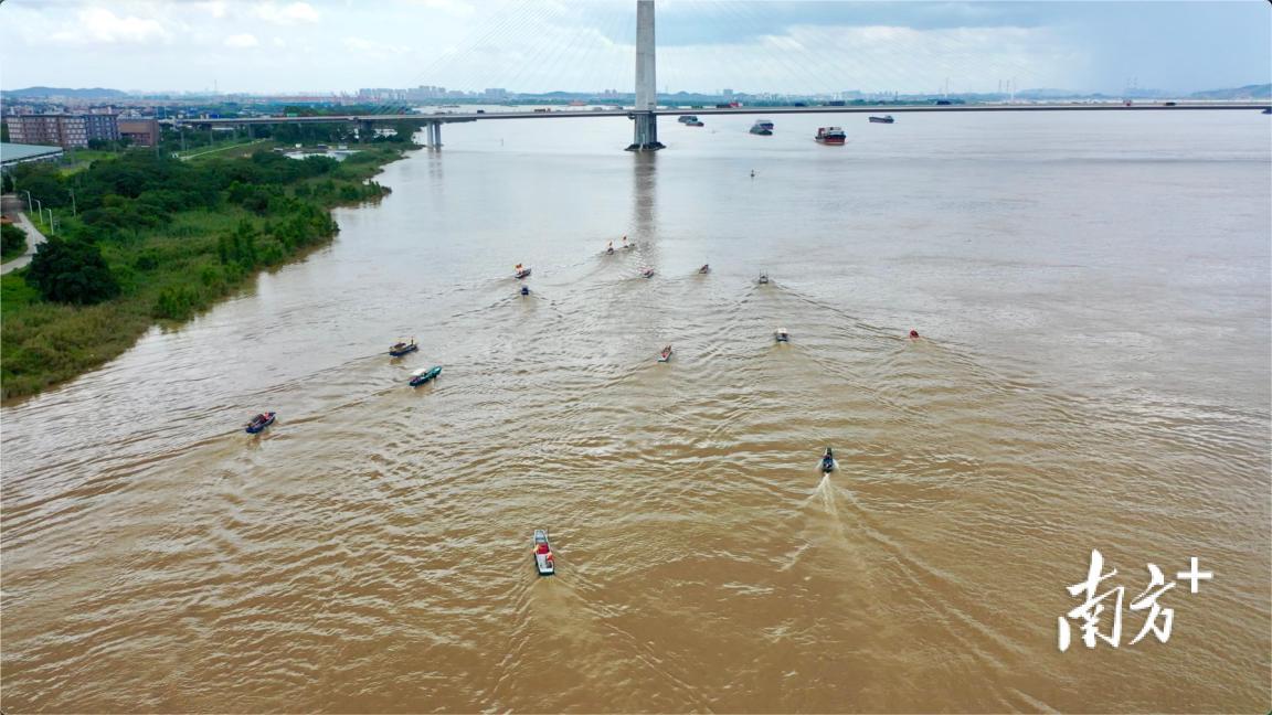 顺德杏坛右滩村二十多艘渔船集中出发捕鱼。梁明广 摄 顺德杏坛右滩村二十多艘渔船集中出发捕鱼。梁明广 摄