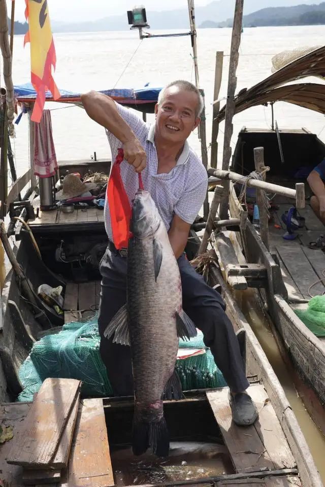 南方+卢逸轩 摄 南方+卢逸轩 摄