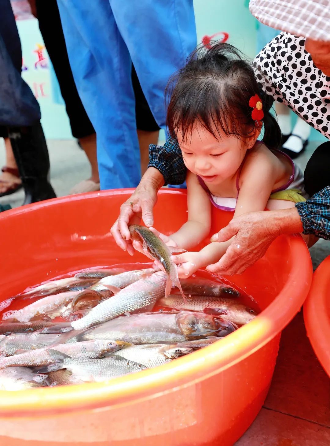 在肇庆高要,前来采购河鲜的市民游客络绎不绝。 赖家乐 摄 在肇庆高要,前来采购河鲜的市民游客络绎不绝。 赖家乐 摄