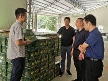 “镇”兴西阳，广州驻镇帮镇扶村工作队三年帮扶记