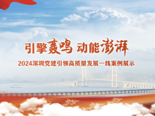 引擎轰鸣 动能澎湃｜2024深圳党建引领高质量发展一线案例展示
