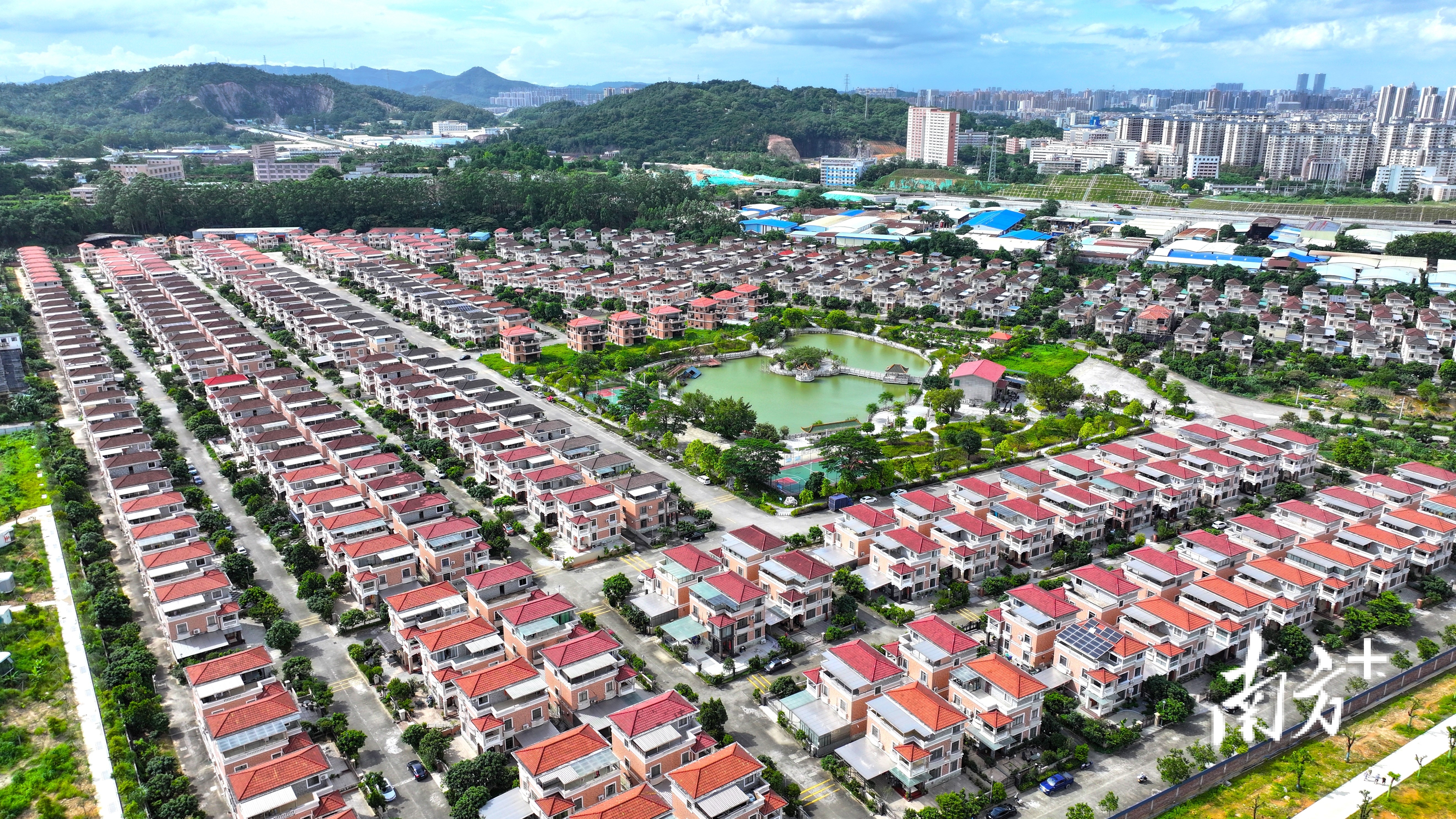 新会奇榜村是远近闻名的别墅村。 南方+ 杨兴乐 拍摄