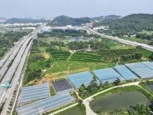 头号工程，加力提速！南方日报推出江门推进“百千万工程”一线报告