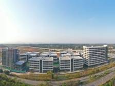 南方访谈｜云东海街道党工委书记刘勇海：筑强“佛北之芯”，壮大医药健康产业