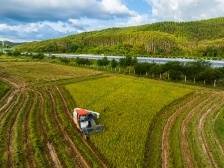 杜茎深：一体统筹推进江门县镇村高质量发展