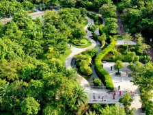 龙行“百千万”｜龙岗布吉：锚定品质提升，跑出高质量发展加速度