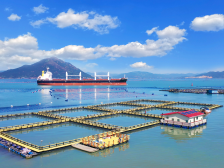 深圳益尔康：可溯源高品质造就首批水产“圳品”｜广东农企品牌价值50强评选巡礼