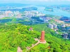 鹤山：建强“典型县”，奋力做示范 | 头号工程 加力提速