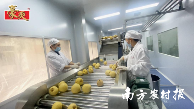 南方农村报 李嘉镓 制图