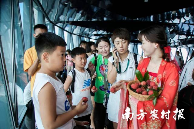 在广州塔从化荔枝推介活动上，给参与游客派从化荔枝。  