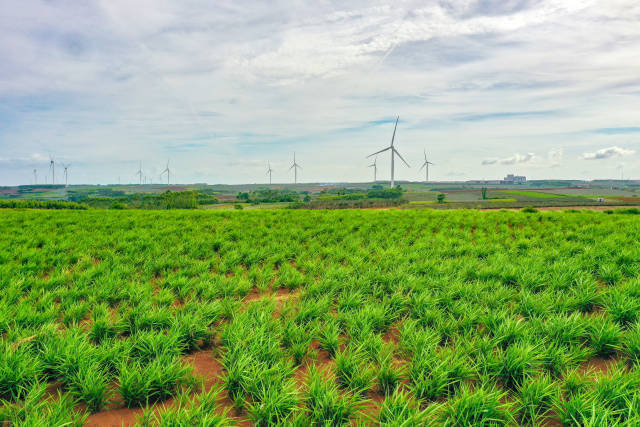 南方农村报 李嘉镓 制图