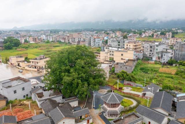 南方农村报 李嘉镓 制图