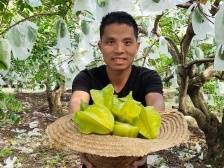 深耕农业八年，他说要用“懒人”思维｜新农人 兴农记⑥