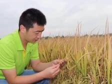 雷州半岛有群新农人｜湛江新农人①