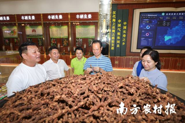 调研组在广东丰硒良姜有限公司考察良姜加工品。 调研组在广东丰硒良姜有限公司考察良姜加工品。