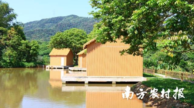 下赤村建设完成“五娘村”鱼塘休闲垂钓项目，项目运营方为汕头市信卓科技文化有限公司，也是微短剧《梦之古道》出品方。